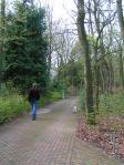 Klik op de foto voor groter formaat